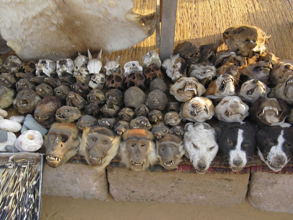 Marché aux fétiches à Lomé