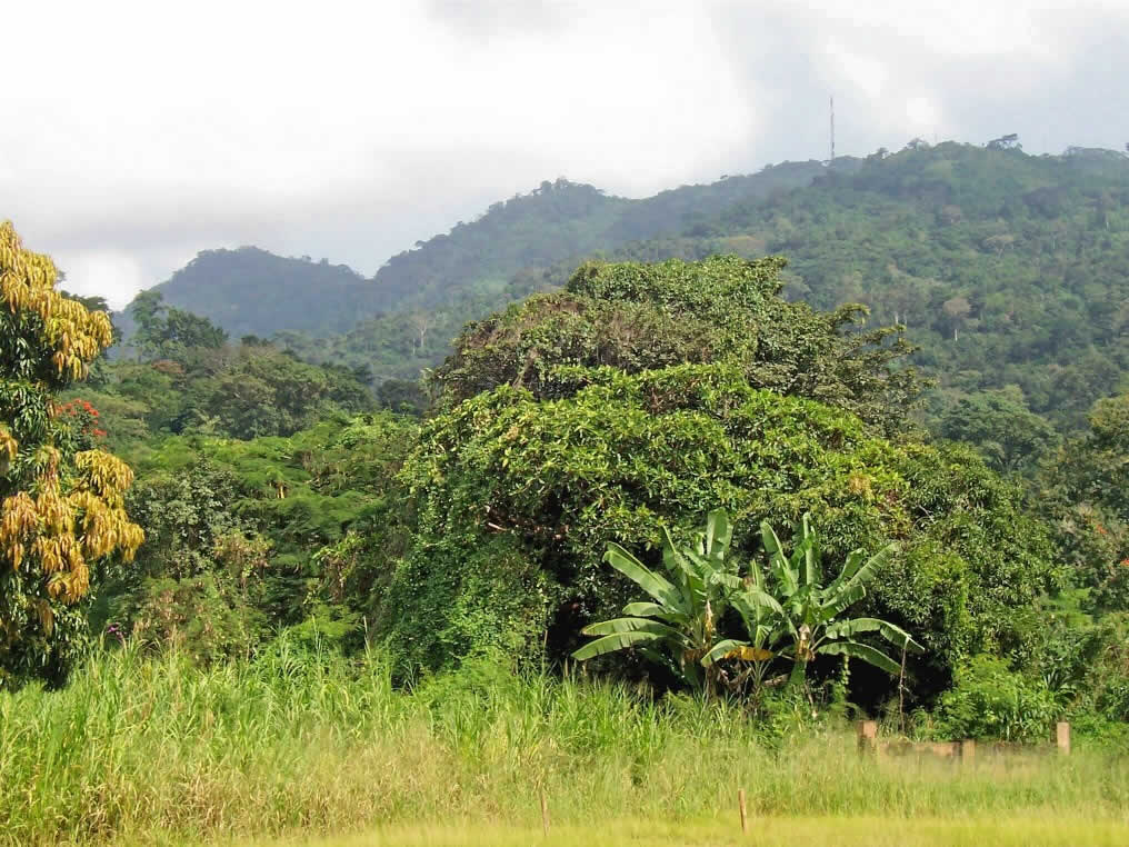 Village sur le mont Agou - Togo