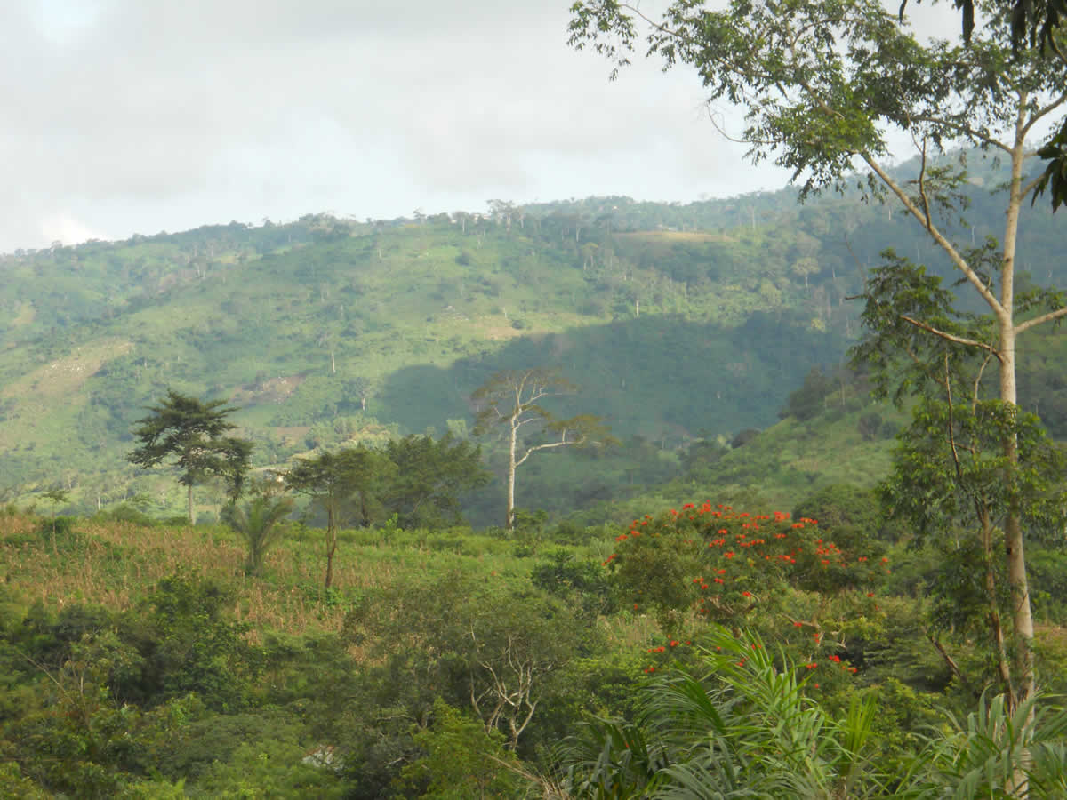 Mont Kloto - Kpalimé - Togo