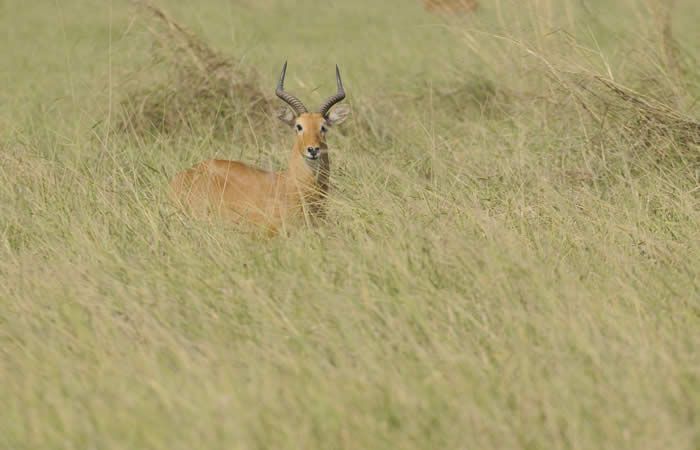 Réserve de l'Oti & le Parc national de la Kéran Kara Nord Togo