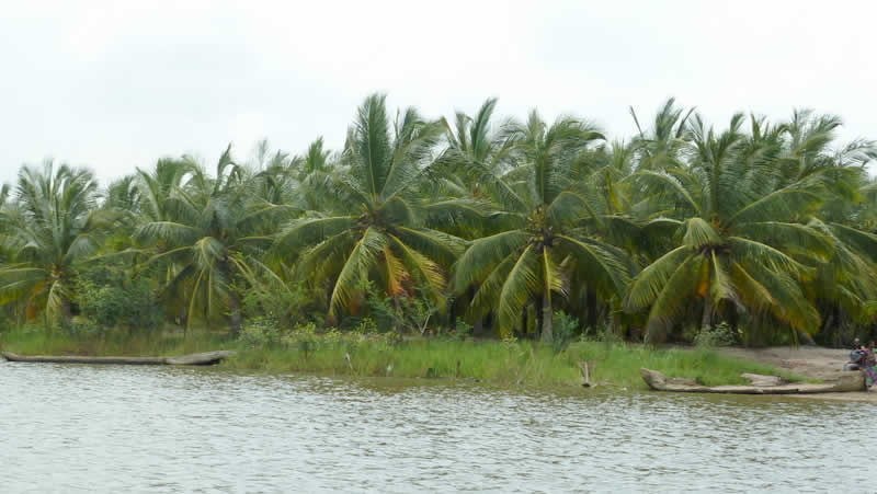 Fleuve Mono - Aného - Togo