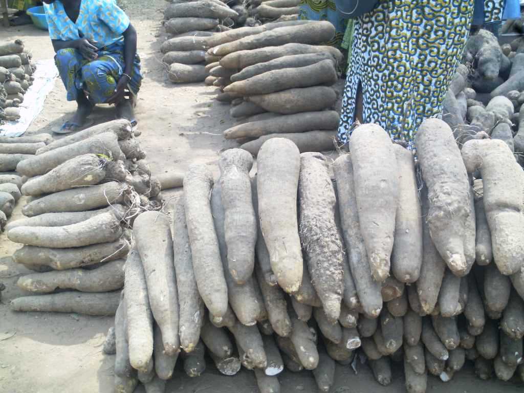 Marchés de Bassar & Bandjéli - Togo