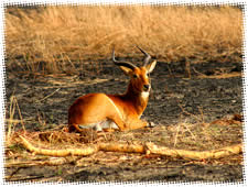 Réserve de l'Oti & le Parc national de la Kéran - Kara Togo